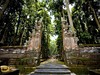 Ubud Monkey Forest